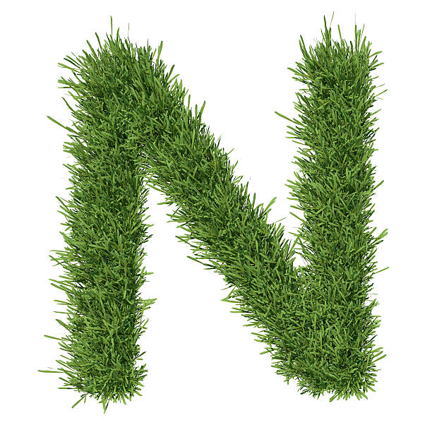 istock Letter of the alphabet made from grass 453309305