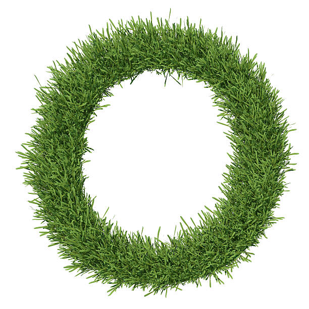 istock Letter of the alphabet made from grass 453309379