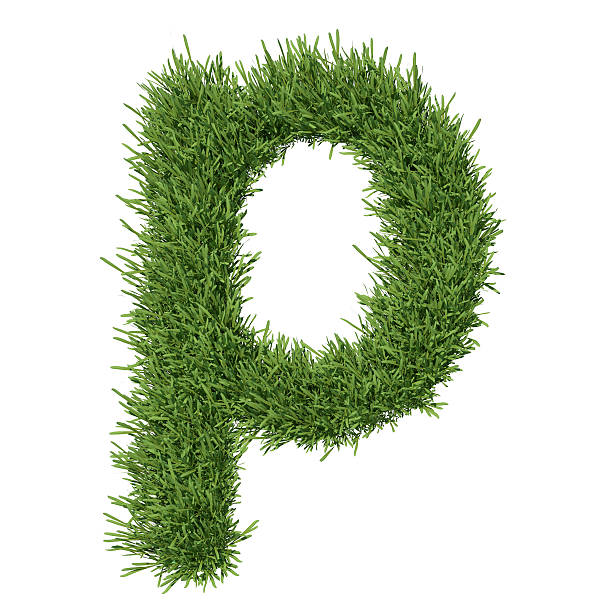 istock Letter of the alphabet made from grass 453309503