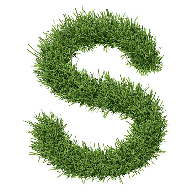Letter Of The Alphabet Made From Grass Stock Photo - Download Image Now -  Alphabet, Capital Letter, Concepts - iStock