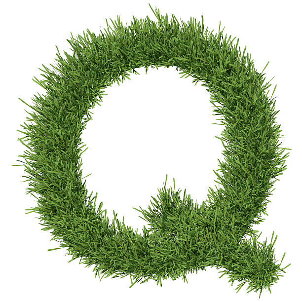istock Letter of the alphabet made from grass 453310199