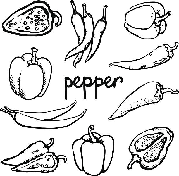 stockillustraties, clipart, cartoons en iconen met set sketch red hot chili and bell peppers - chili pepper