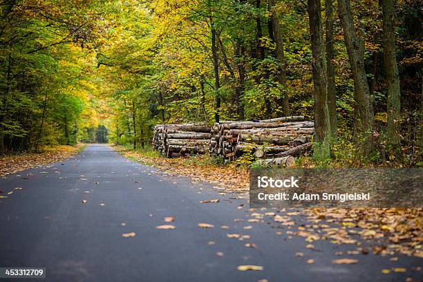 Forest Road Stock Photo - Download Image Now - Asphalt, Autumn, Backgrounds