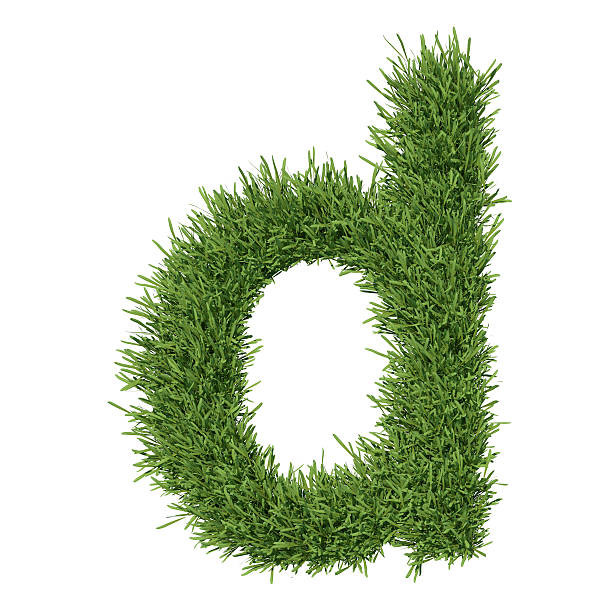 istock Letter of the alphabet made from grass 453312771