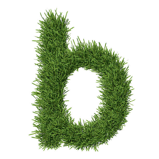 istock Letter of the alphabet made from grass 453312777