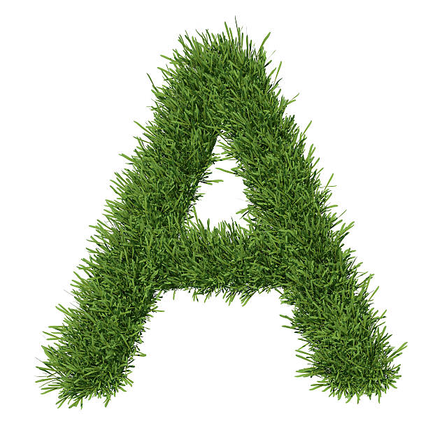 istock Letter of the alphabet made from grass 453312795