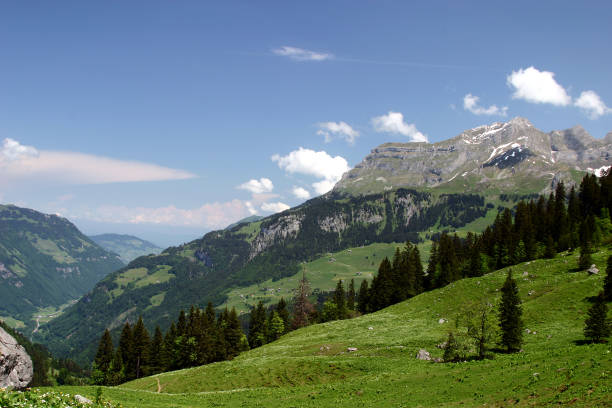 Paisagem Alpes suíços - foto de acervo