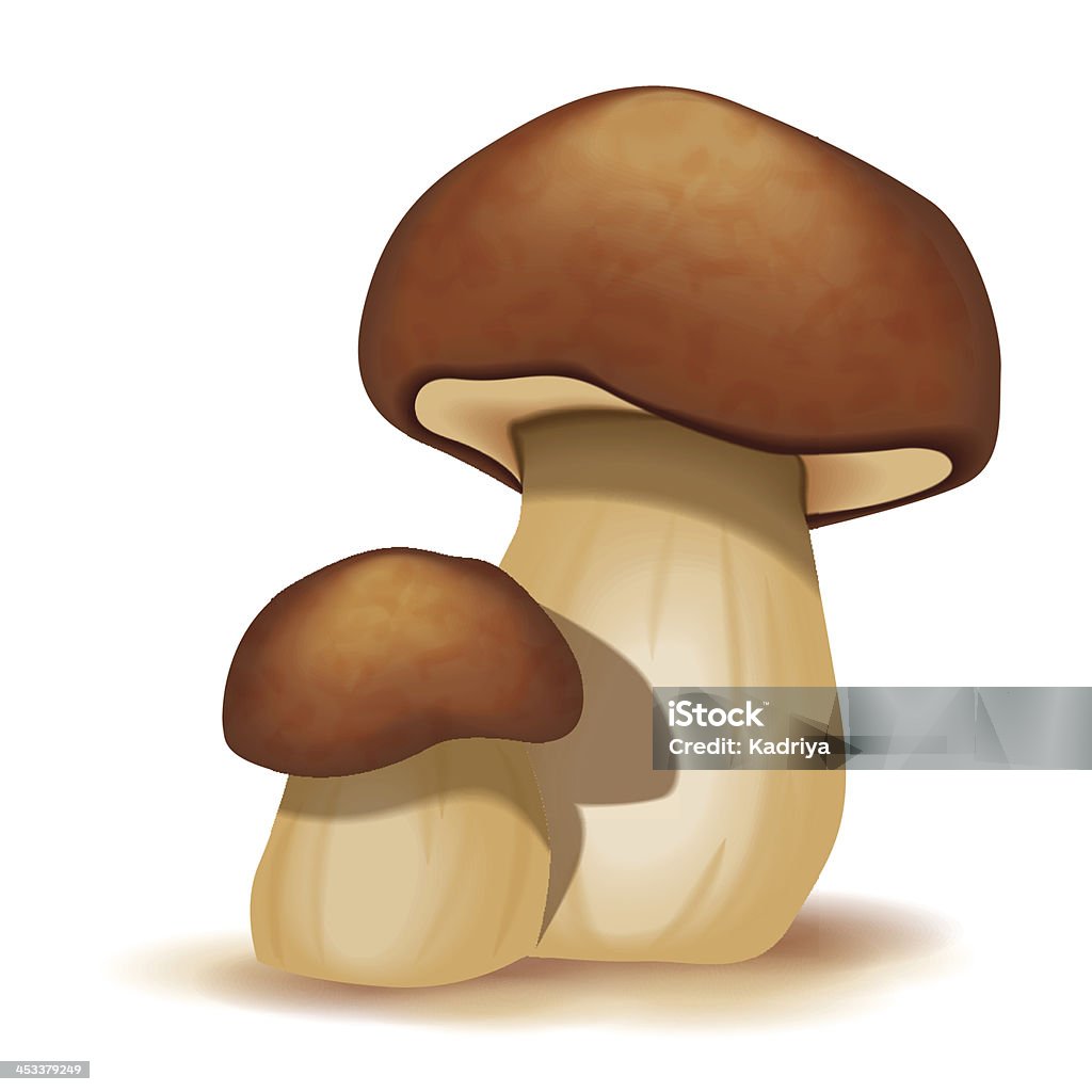 Dois ceps isolado em um fundo branco - Vetor de Boletus Sp royalty-free