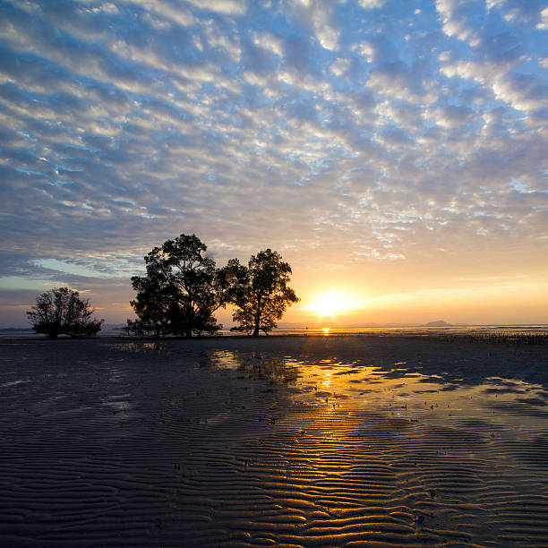 istock Sunrise over Phang Nga Bay, Phuket 453381095
