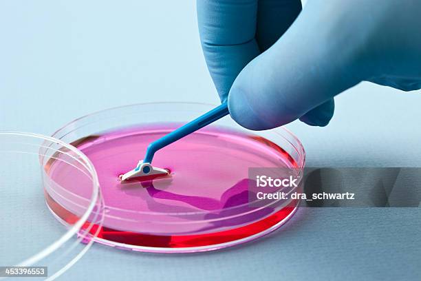 Manipulating De Cultivo Celular Foto de stock y más banco de imágenes de Placa de Petri - Placa de Petri, Célula madre, ADN