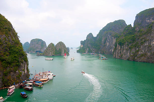 istock Halong Bay Boats 453398159