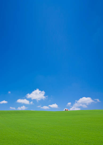 istock Green hill and red roof house 453404673