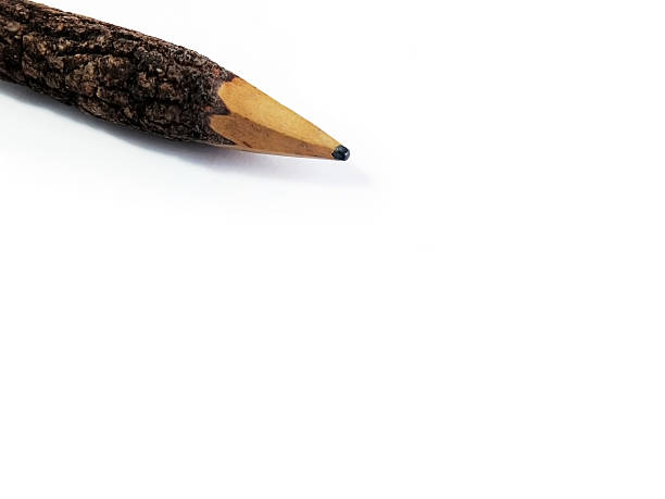 istock Wooden Pencils with Bark Close Up 453409975