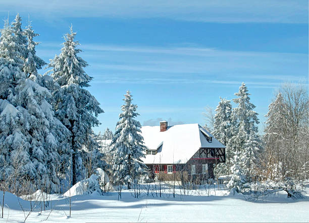 istock Winter landscape farm house in Black Forest 453410265
