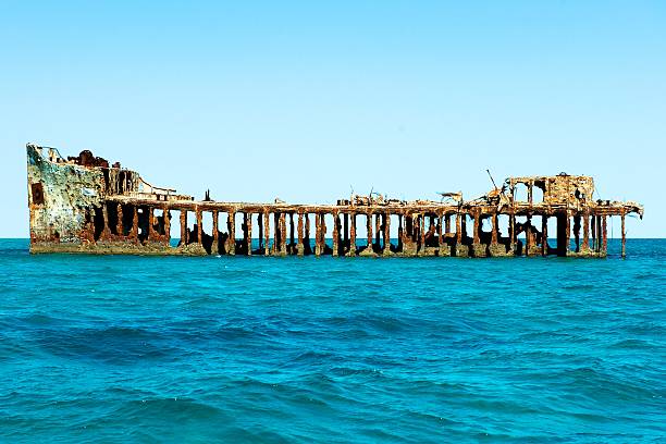 istock Remains of sunken ship in Bimini Island 453411243