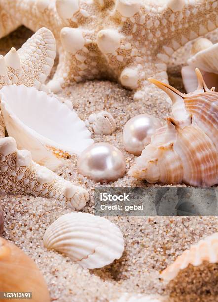 Perlas On Shells Pearls And Shells On The Beach Stock Photo - Download Image Now ...