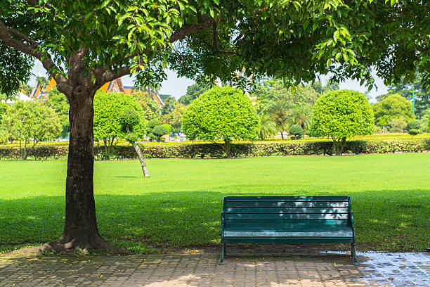 banco en un parque, resorte de tiempo - field tulip flower tree fotografías e imágenes de stock