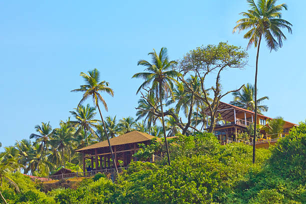 istock small hotel surrounded by trees on a hill 453414781