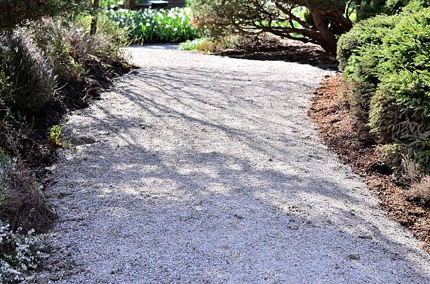 istock Beautiful walking path in the park on sunny day 453415909