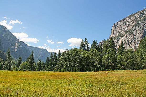 istock Yosemite National Park, California, USA. 453421937