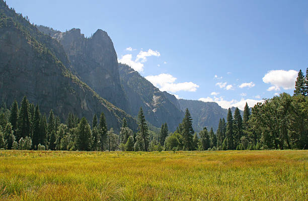 istock Yosemite National Park, California, USA. 453423785
