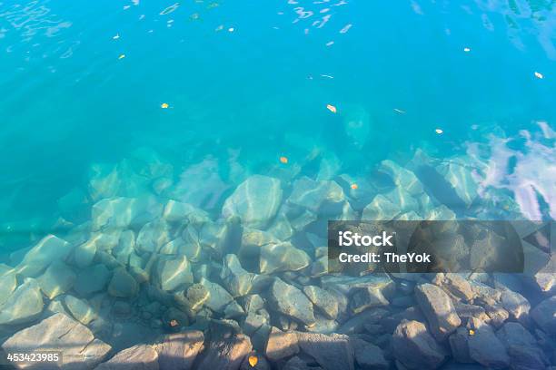 Photo libre de droit de Leau Dans Le Lac Thun Berne En Suisse banque d'images et plus d'images libres de droit de Activité de loisirs - Activité de loisirs, Alpes européennes, Alpes suisses