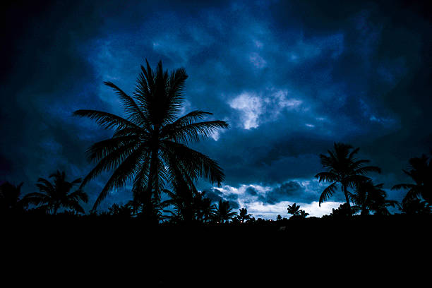 istock Power of the sky 453424021