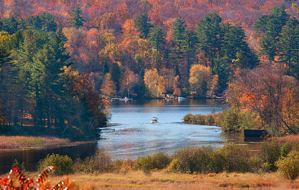 istock Autumn colors reflections on the lake 453424039
