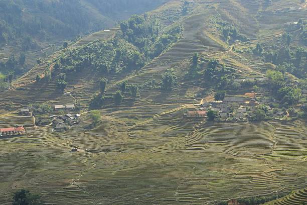 istock Valley in Sapa, Vietnam on November 02, 2013 453425235