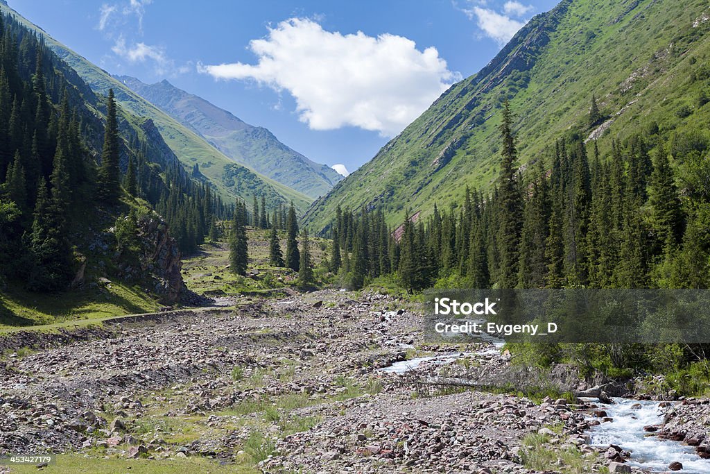 River in mountains of Kyrgyzstan River in mountains, Tien Shan, Kyrgyzstan Asia Stock Photo