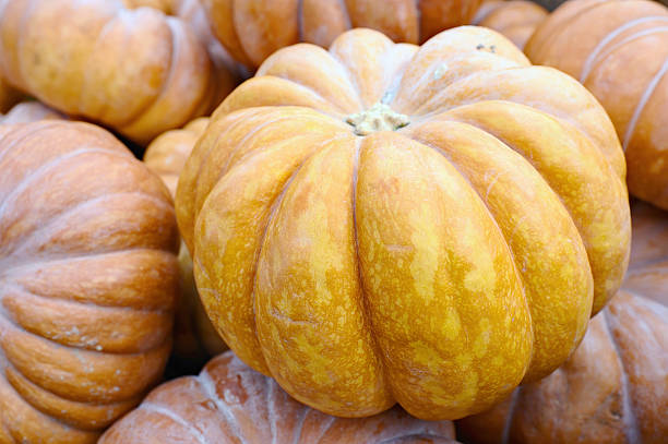 istock Pile of pumpkins 453429635