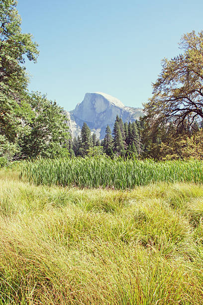 Half Dome at Yosemite National Park, California, USA.