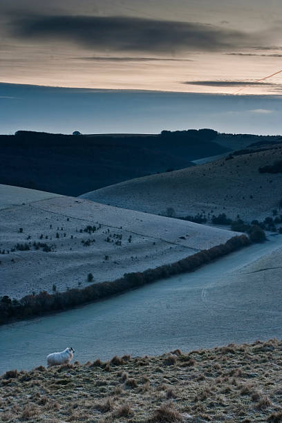 Melbury Down Melbury Down in Dorset. blackmore vale stock pictures, royalty-free photos & images