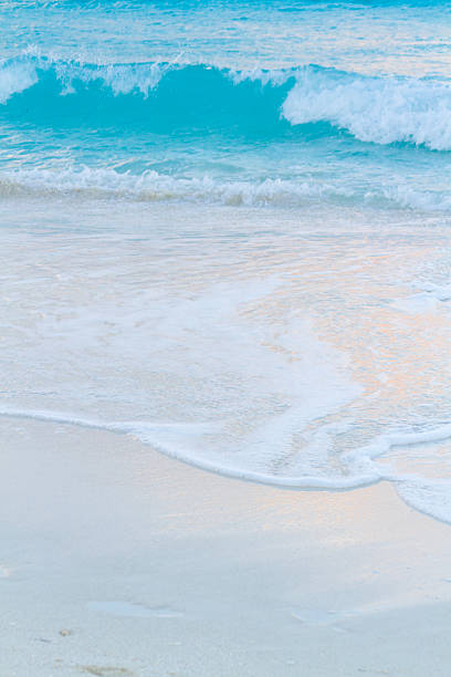 istock Beach of the Caribbean Sea 453440991