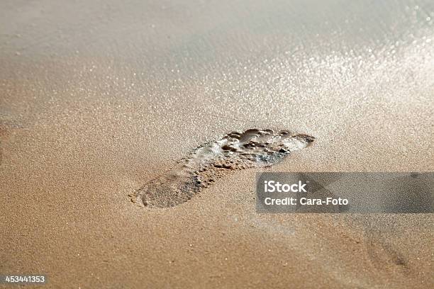 Fußspuren Am Ufer Stockfoto und mehr Bilder von Badeort Strand - Badeort Strand, Entspannung, Erforschung