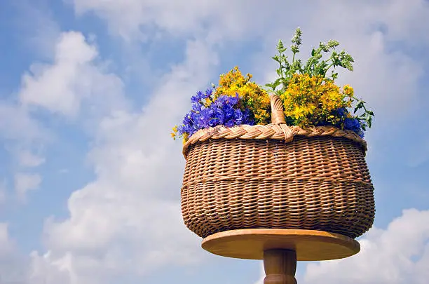 wicker basket on table with midsummer medical herb flowers and sky