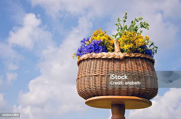 Foto de Cesta De Vime Com Uma Mesa Com Flores De Verão Medical Ervas e mais fotos de stock de Amarelo