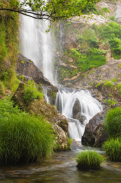 istock Beauty waterfall in nature 453443431