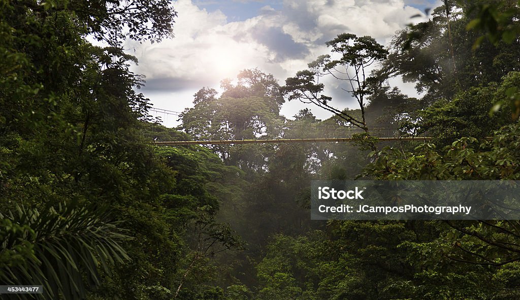 Ponte sospeso - Foto stock royalty-free di Ambientazione esterna