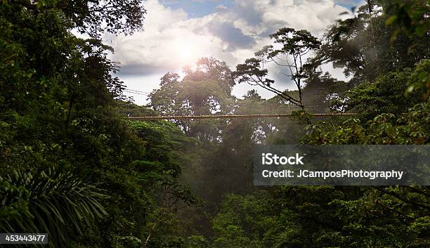 Ponte Sospeso - Fotografie stock e altre immagini di Ambientazione esterna - Ambientazione esterna, America Centrale, Arenal