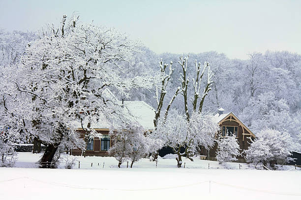 istock farm in a frosted winter forest 453448037