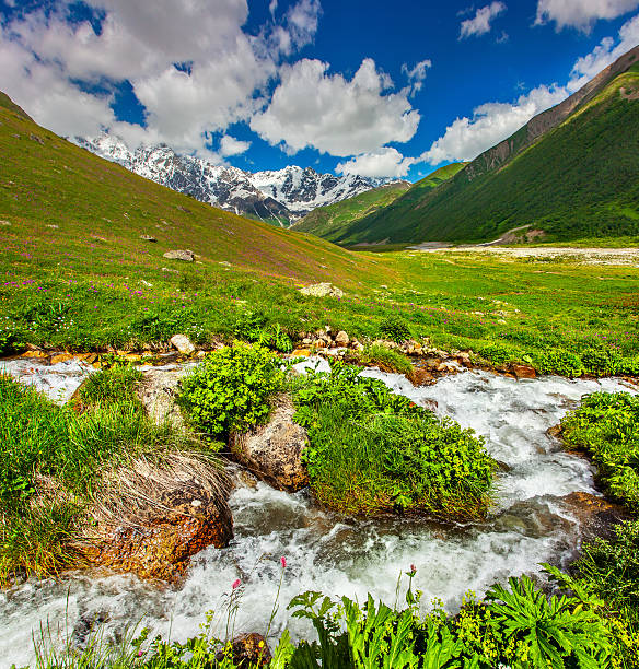 istock Beautiful summer landscape in the Caucasus mountains 453449263