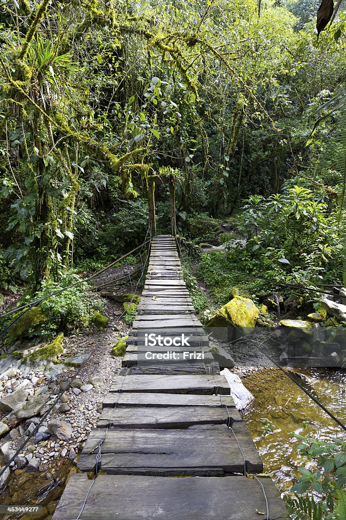 Ponte girevole nella foresta pluviale - Foto stock royalty-free di Acqua fluente