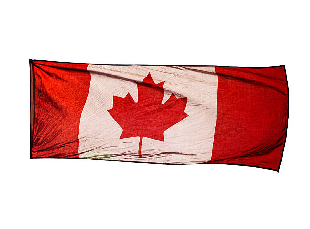istock Isolated Canadian Flag in wind on white background 453449341
