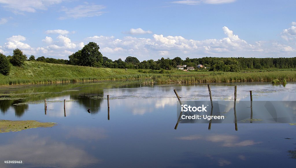 Palo di legno - Foto stock royalty-free di Acqua