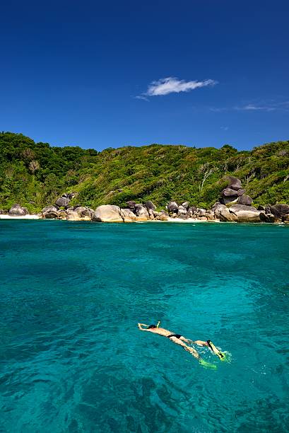 istock Snorkeling in the sea 453459051
