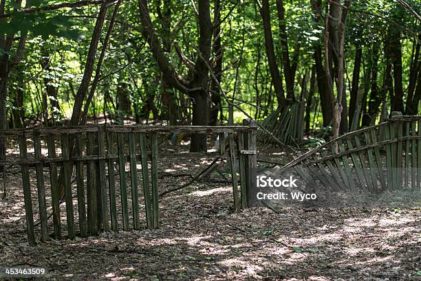 Derelict Asilo Cubi Di Rovinare A Cernobyl - Fotografie stock e altre immagini di Abbandonato - Abbandonato, Ambiente, Arrugginito