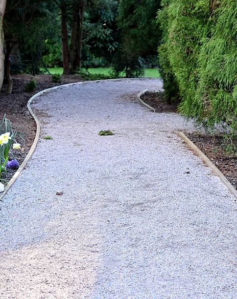 istock Beautiful walking path in the park on sunny day 453466117