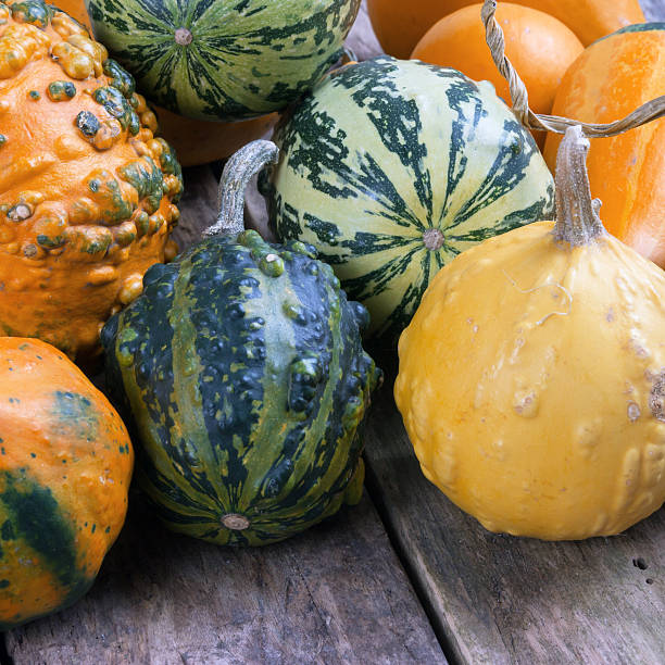istock Pumpkins on a wooden table , backrounds 453467943