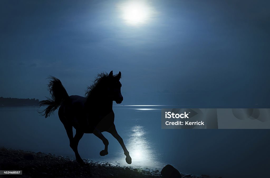 galloping cavalo no Luar na praia - Royalty-free Cavalo - Família do Cavalo Foto de stock
